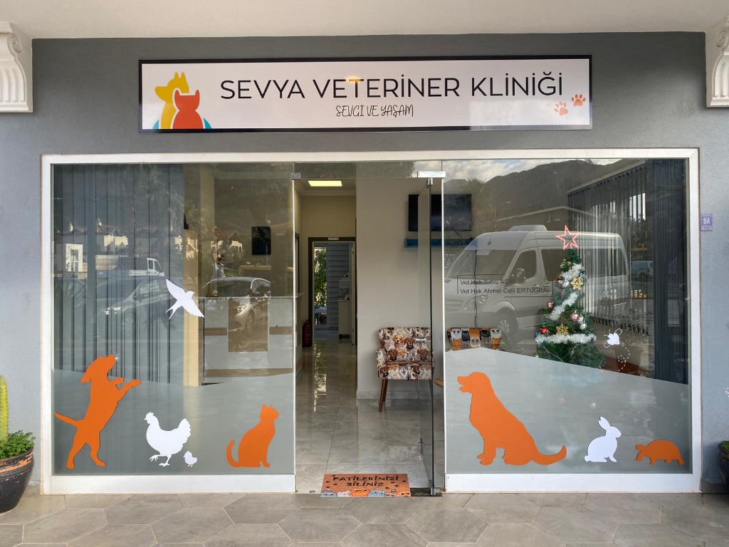 Muğla İçmeler Veteriner Kliniği İç Mekan