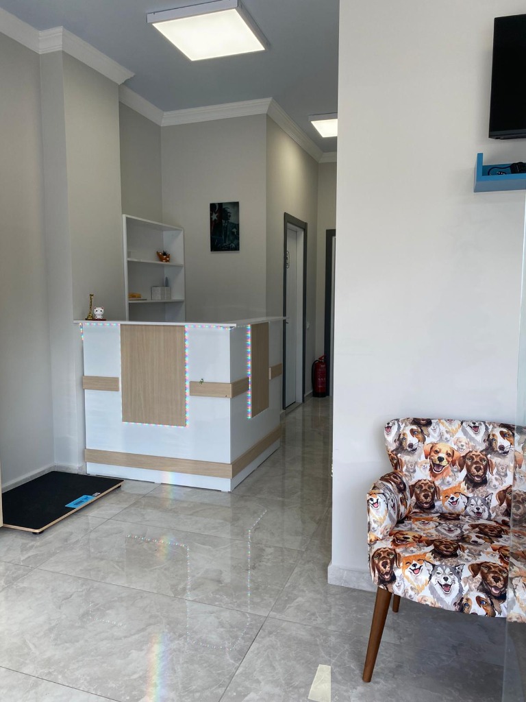 Muğla Marmaris Veteriner Kliniği Bekleme Alanı