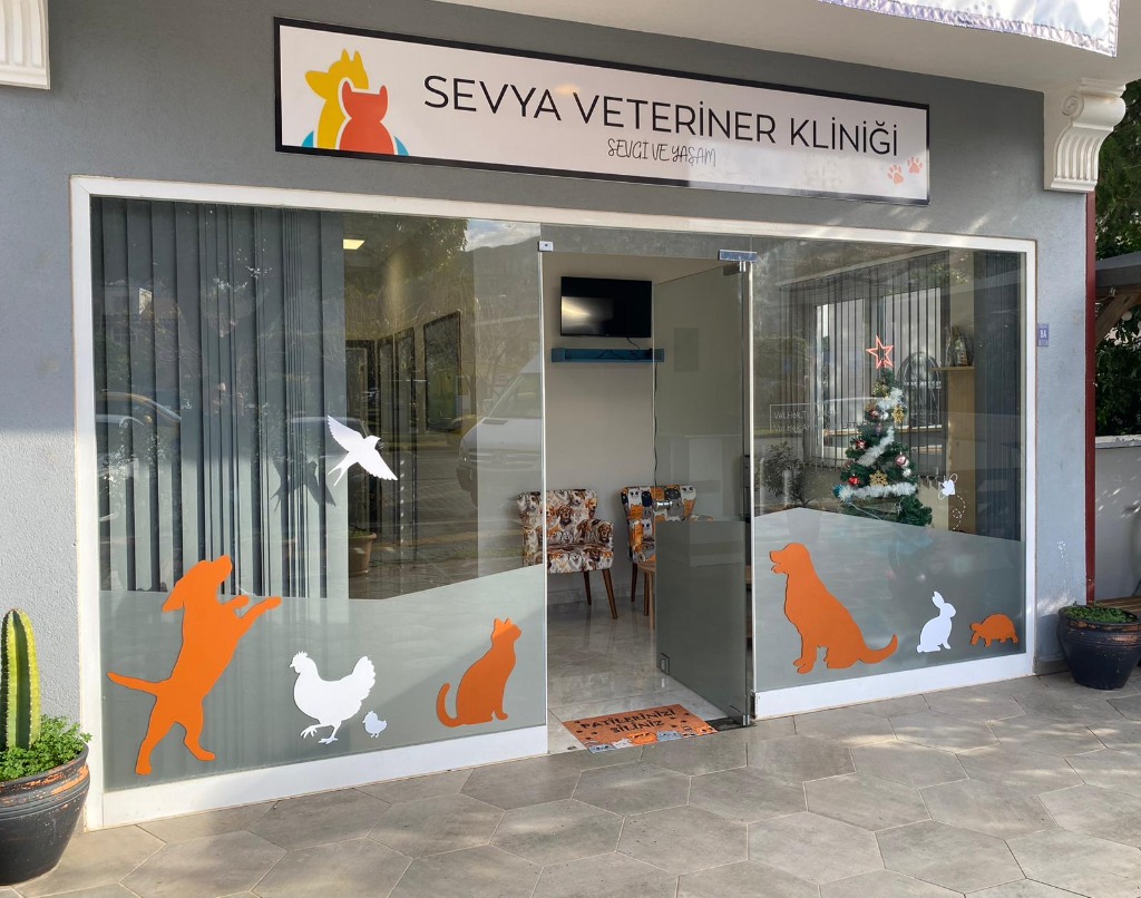 Sevya Veteriner Kliniği Marmaris İçmeler Muayene Odası